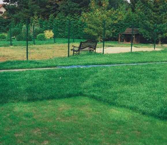 <span style="font-weight: bold;">Газон СТАНДАРТНЫЙ</span>