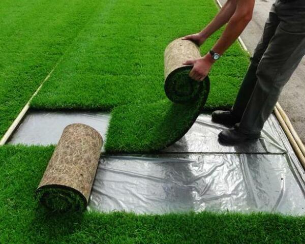 <span style="font-weight: bold;">ОПЫТ БОЛЕЕ 15 ЛЕТ, БЫСТРЫЕ СРОКИ Укладываем рулонный газон за 1-2 дня. &nbsp;Ваш участок преобразится моментально</span>