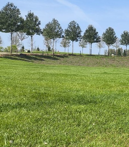 <span style="font-weight: bold;">ПОСЕВНОЙ ГАЗОН на подготовленное основание</span>